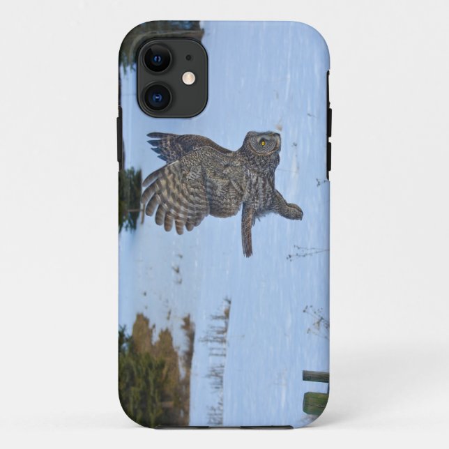 Coques Case-Mate iPhone Chouette grise et raptor de la faune de neige (Dos)