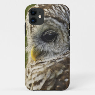 Coque iPhone 11 Chouette rayée, Strix varia, Michigan