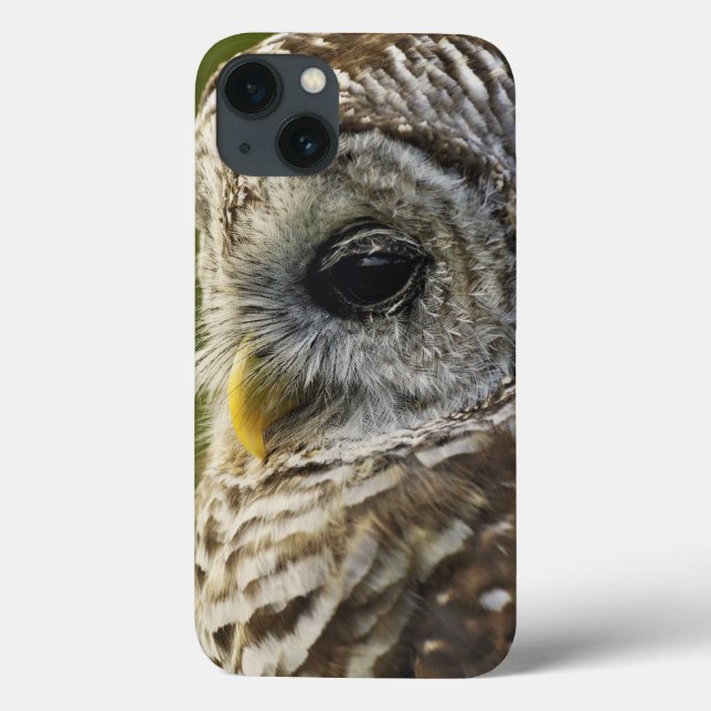 Coques Case-Mate iPhone Chouette rayée, Strix varia, Michigan (Verso)