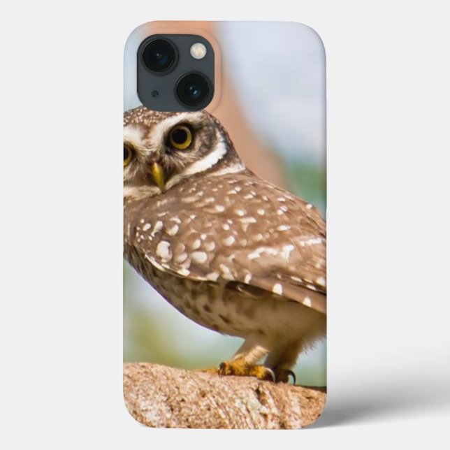 Coques Case-Mate iPhone Chouette tachetée en vol matinal. (Verso)