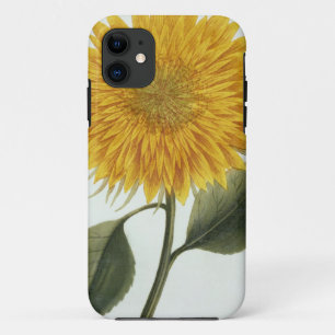 Coques Pour iPhone Chrysanthème Indicum de 'Pythanthoza Iconograph