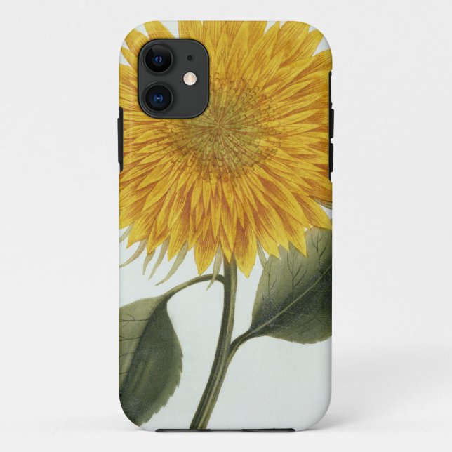 Coques Case-Mate iPhone Chrysanthème Indicum de 'Pythanthoza Iconograph (Dos)