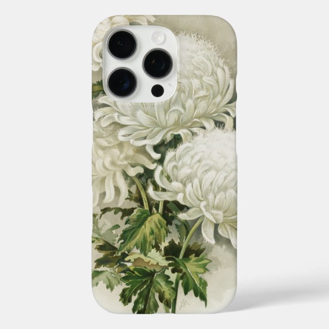 Coques Case-Mate iPhone Chrysanthèmes - Elégant Botanique Vintage (Verso)