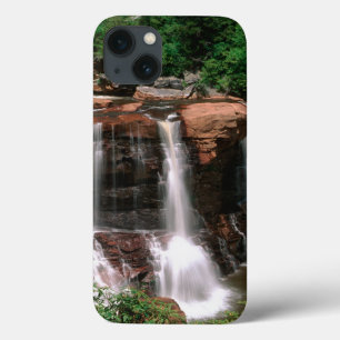 Coques Pour iPhone Chutes de Blackwater, Virginie-Occidentale, pittor