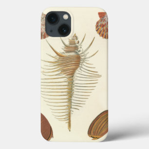 Coques Pour iPhone Cinq d'un coquillage