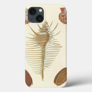 iPhone 13 Coque Cinq d'un coquillage