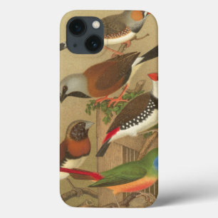 Etui iPhone Case-Mate Cinq oiseaux de compagnie colorés perchés sur une