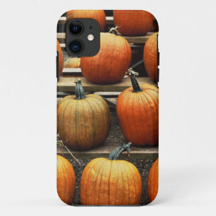 Coques Pour iPhone Citrouilles d'automne