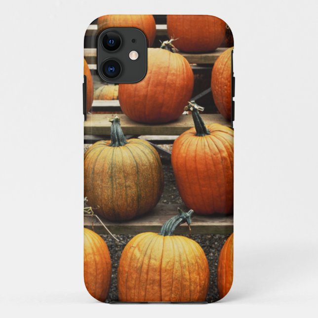Coques Case-Mate iPhone Citrouilles d'automne (Dos)