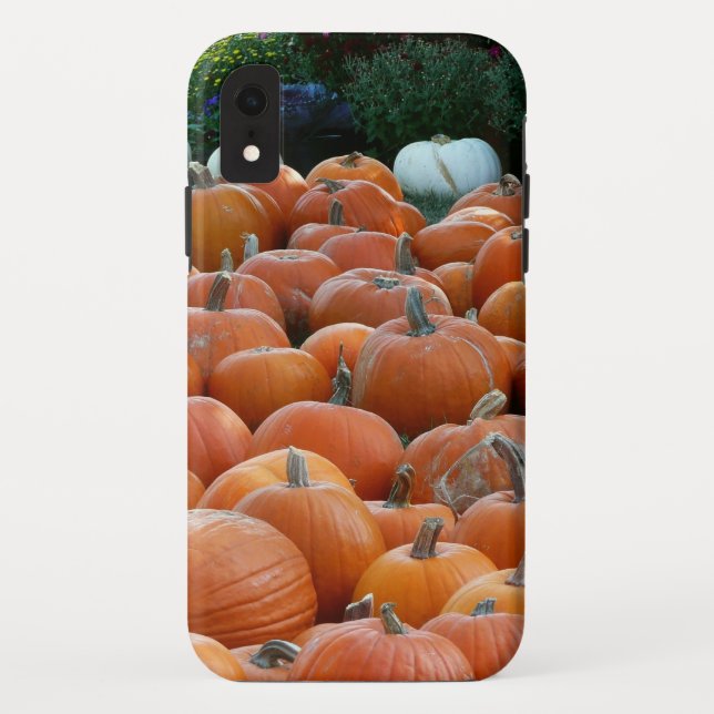 Coques Case-Mate iPhone Citrouilles et Chrysanthèmes Photographie de la ré (Dos)