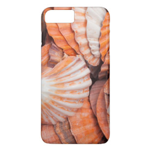Case-Mate iPhone Case Clés de Floride, Key West, coquillages