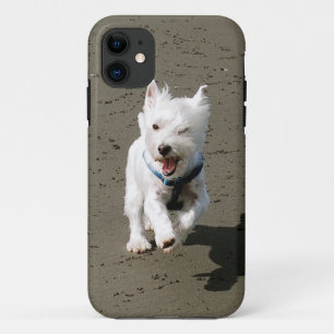 Coques Pour iPhone Cligner de l'oeil le cas de téléphone de Westie