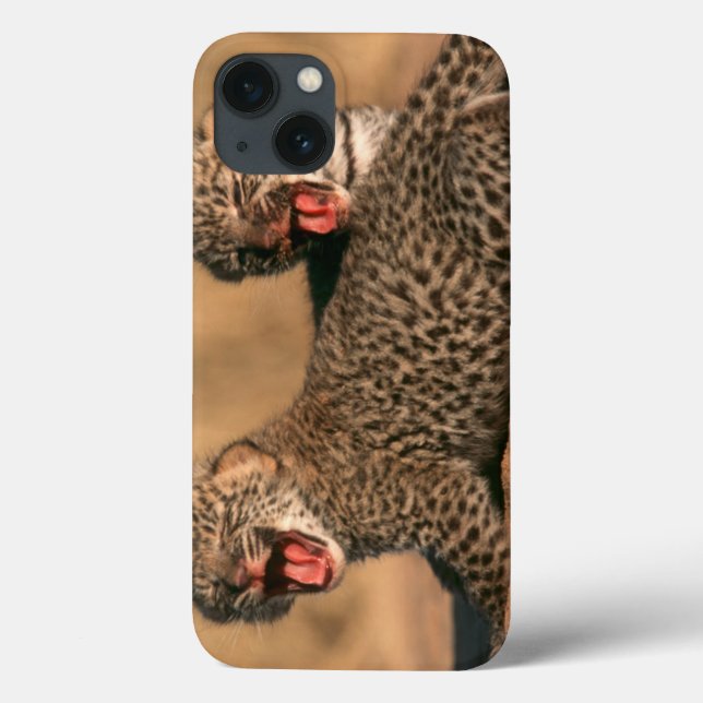 Coques Case-Mate iPhone Close-Up Of New Born Leopard (Panthera Pardus) (Verso)