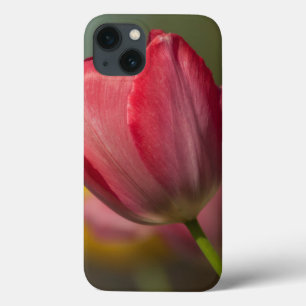 Etui iPhone Case-Mate Close-up of red and yellow tulips in garden
