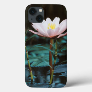 iPhone 13 Coque Close-up view of Water Lily at Inle Lake
