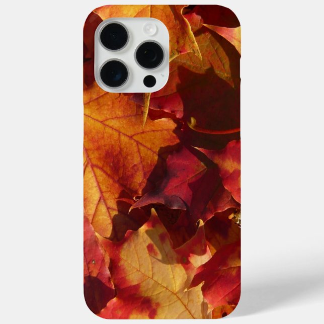 Coques Case-Mate iPhone Closeup des feuilles d'automne (Verso)