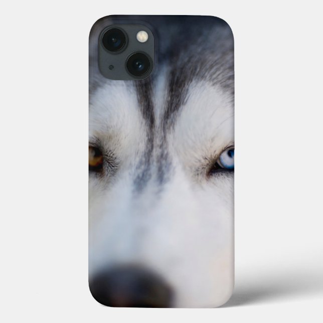 Coques Case-Mate iPhone Closeup Stoic Gaze of an Alaskan Malamute (Verso)