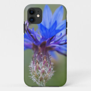 Coques Pour iPhone Coccinelle Fleurs Bleues Art Amour Destinée Vigne