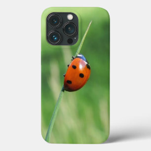 Etui iPhone 13 Pro Coccinelle sur une brin d'herbe