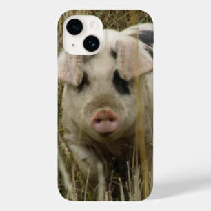 Coque Pour iPhone 14 Cochon mignon