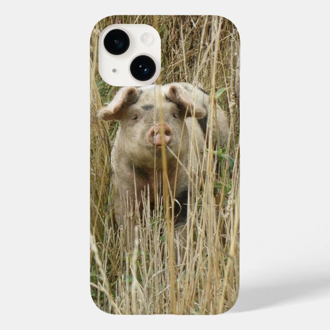 Coques Case-Mate iPhone Cochon mignon (Verso)