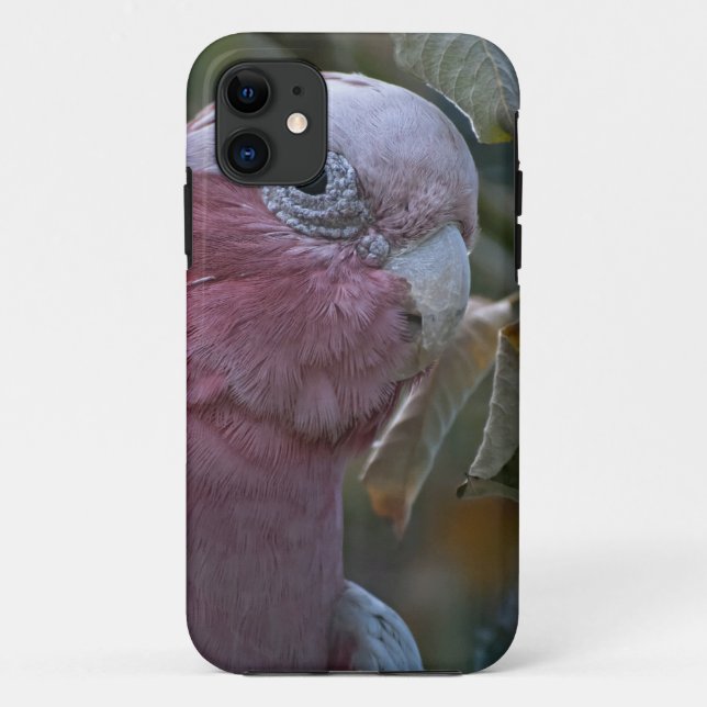 Coques Case-Mate iPhone Cockatoo à poitrine Rose (Dos)