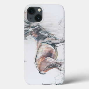 iPhone 13 Case Col di Vermianaz