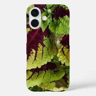 Coque Pour iPhone 16 Coleus