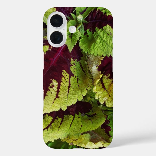 Coques Case-Mate iPhone Coleus (Verso)