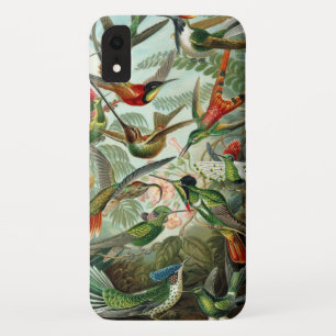 Etui iPhone Case-Mate Colibri