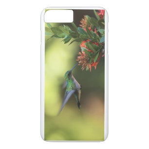 Etui iPhone Case-Mate Colibri
