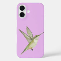 Colibri