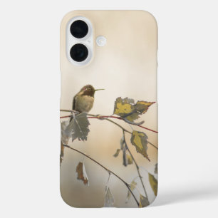 Coque Pour iPhone 16 Colibri 5265