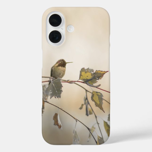 Coques Case-Mate iPhone Colibri 5265 (Verso)