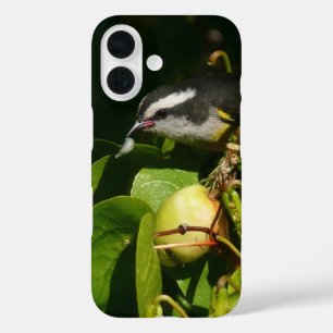 Coque Pour iPhone 16 Colibri à gorge blanche mangeant Photographie trop