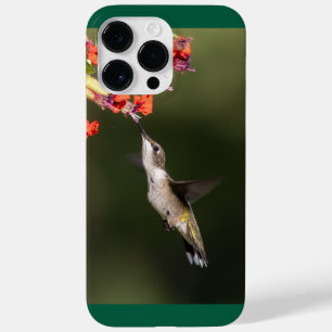 Coque Case-Mate iPhone Colibri à gorge rubis