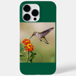 Coque Case-Mate iPhone Colibri à gorge rubis