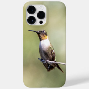 Coque Case-Mate iPhone Colibri à gorge rubis