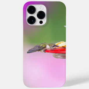 Coque Case-Mate iPhone Colibri à gorge rubis