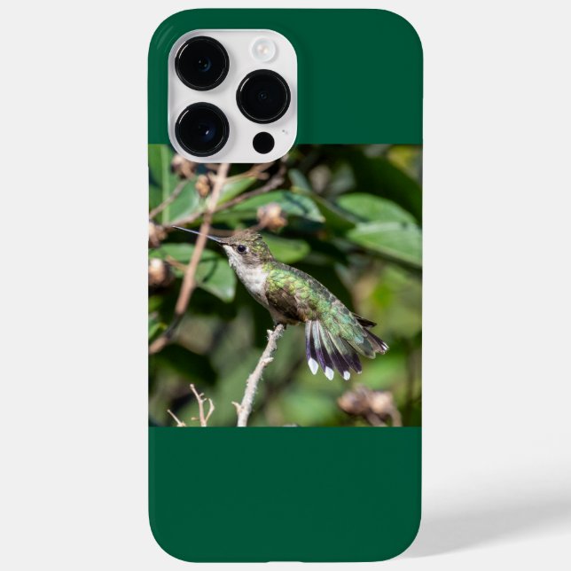 Coques Case-Mate iPhone Colibri à gorge rubis (Verso)