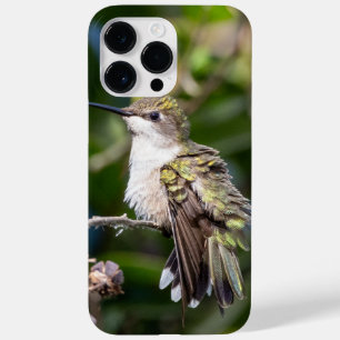 Coque Case-Mate iPhone Colibri à gorge rubis