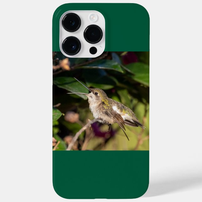Coques Case-Mate iPhone Colibri à gorge rubis (Verso)