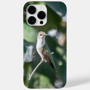 Coque Case-Mate iPhone Colibri à gorge rubis