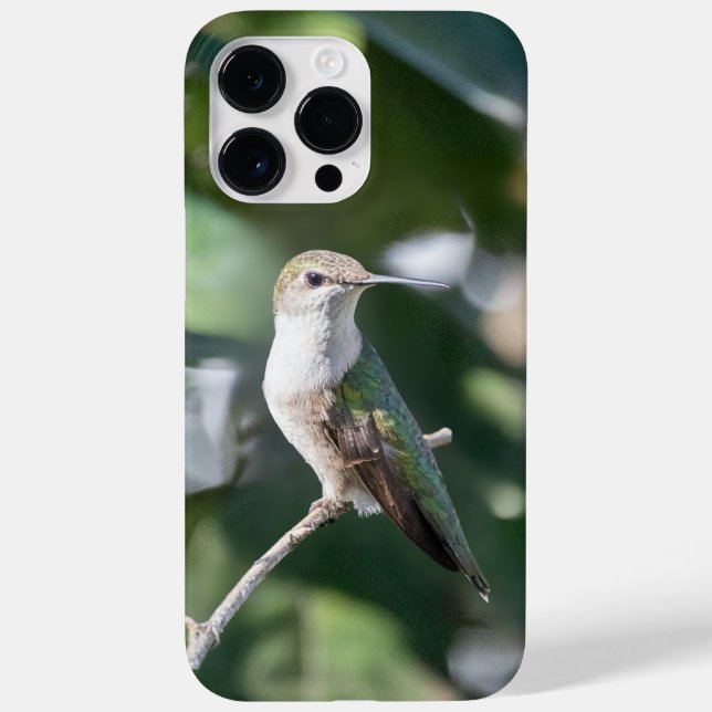 Coques Case-Mate iPhone Colibri à gorge rubis (Verso)