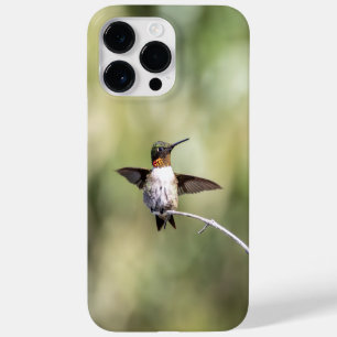 Coque Case-Mate iPhone Colibri à gorge rubis