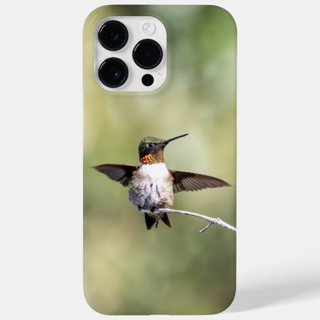 Coques Case-Mate iPhone Colibri à gorge rubis (Verso)