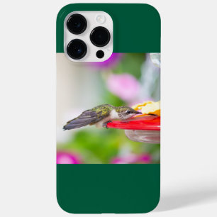 Coque Case-Mate iPhone Colibri à gorge rubis