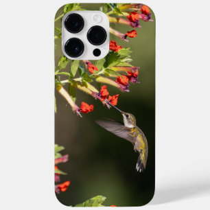 Coque Case-Mate iPhone Colibri à gorge rubis