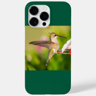 Coque Case-Mate iPhone Colibri à gorge rubis