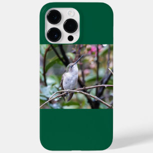 Coque Case-Mate iPhone Colibri à gorge rubis